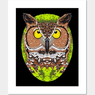 Owl Posters and Art